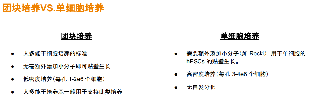 eTeSR™：hPSC单细胞培养基